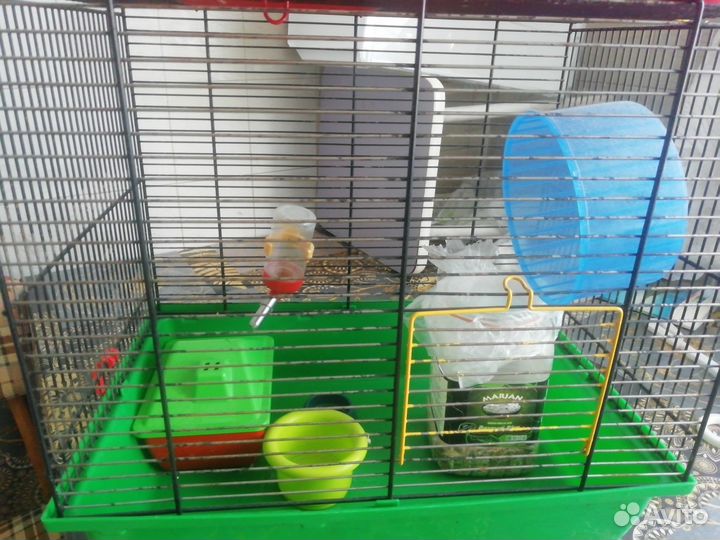 Клетки