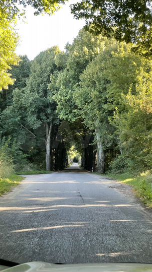 Участок 10,7 сот. (СНТ, ДНП)