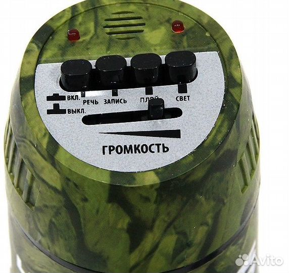 Рупор (мегафон)