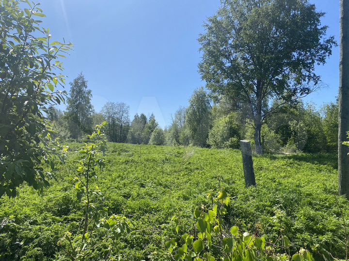 Участок 12 сот. (ИЖС)