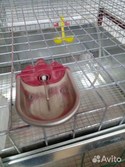 Поилка чашечная автоматическая для кроликов
