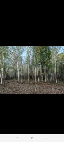 Дача 12 м² на участке 6 сот.