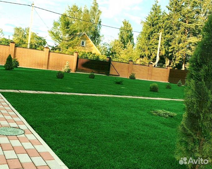Рулонный газон