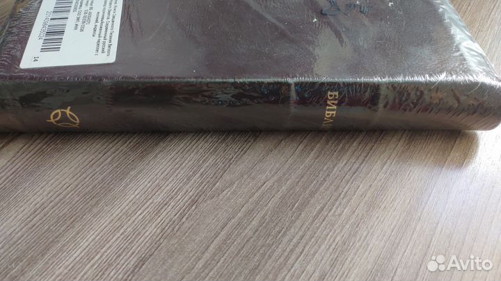 Библия на молнии. Современный русский перевод