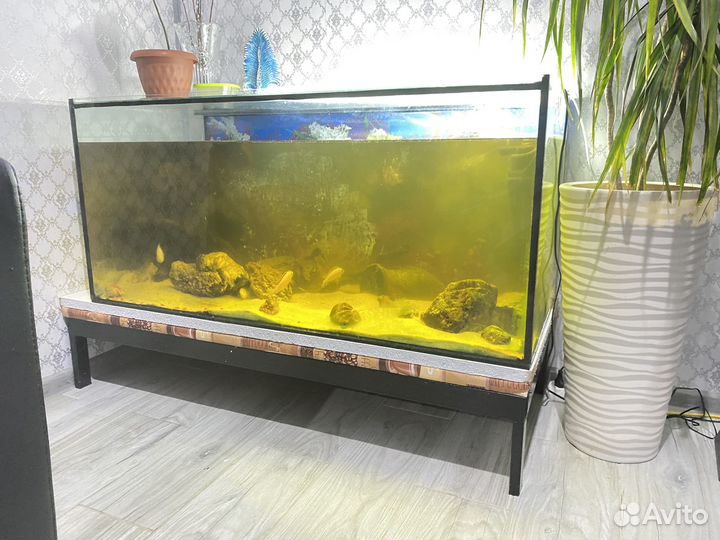 Аквариум с тумбой