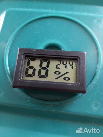 Инкубатор для яиц автоматический