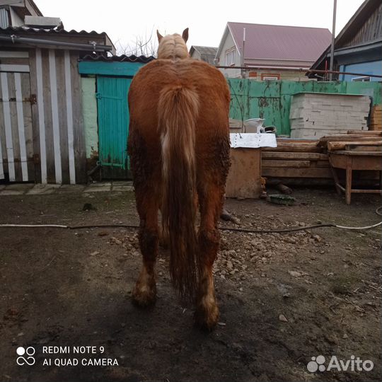 Советский тяжеловоз