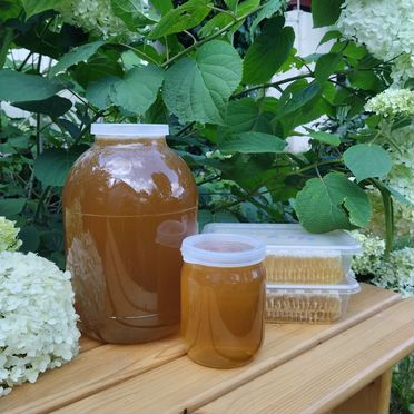 Мед башкирский