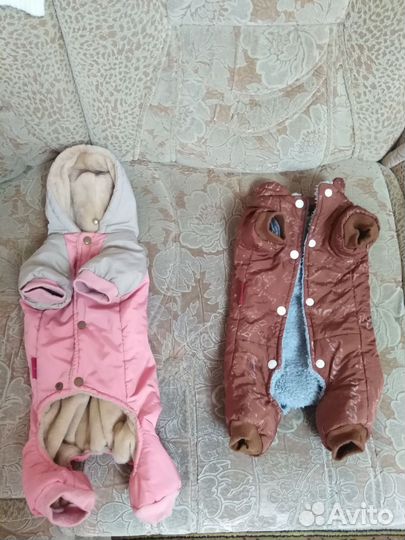 Комбинезоны для маленькой собачки