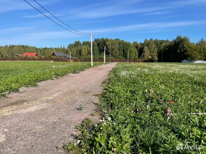 Кадастровый инженер, Технический план, Межевание