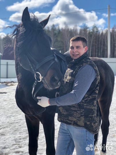 Ковка и расчистка Лошадей и Пони и восстановления