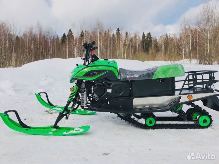 Снегоход Irbis Dingo T150