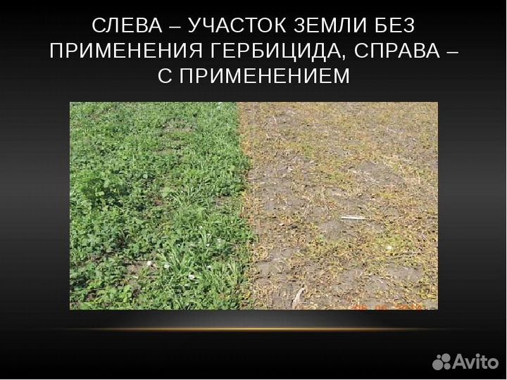 Самый мощный Гербицид от сорняков