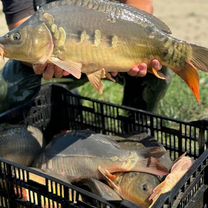 Рыбалка отдых у воды