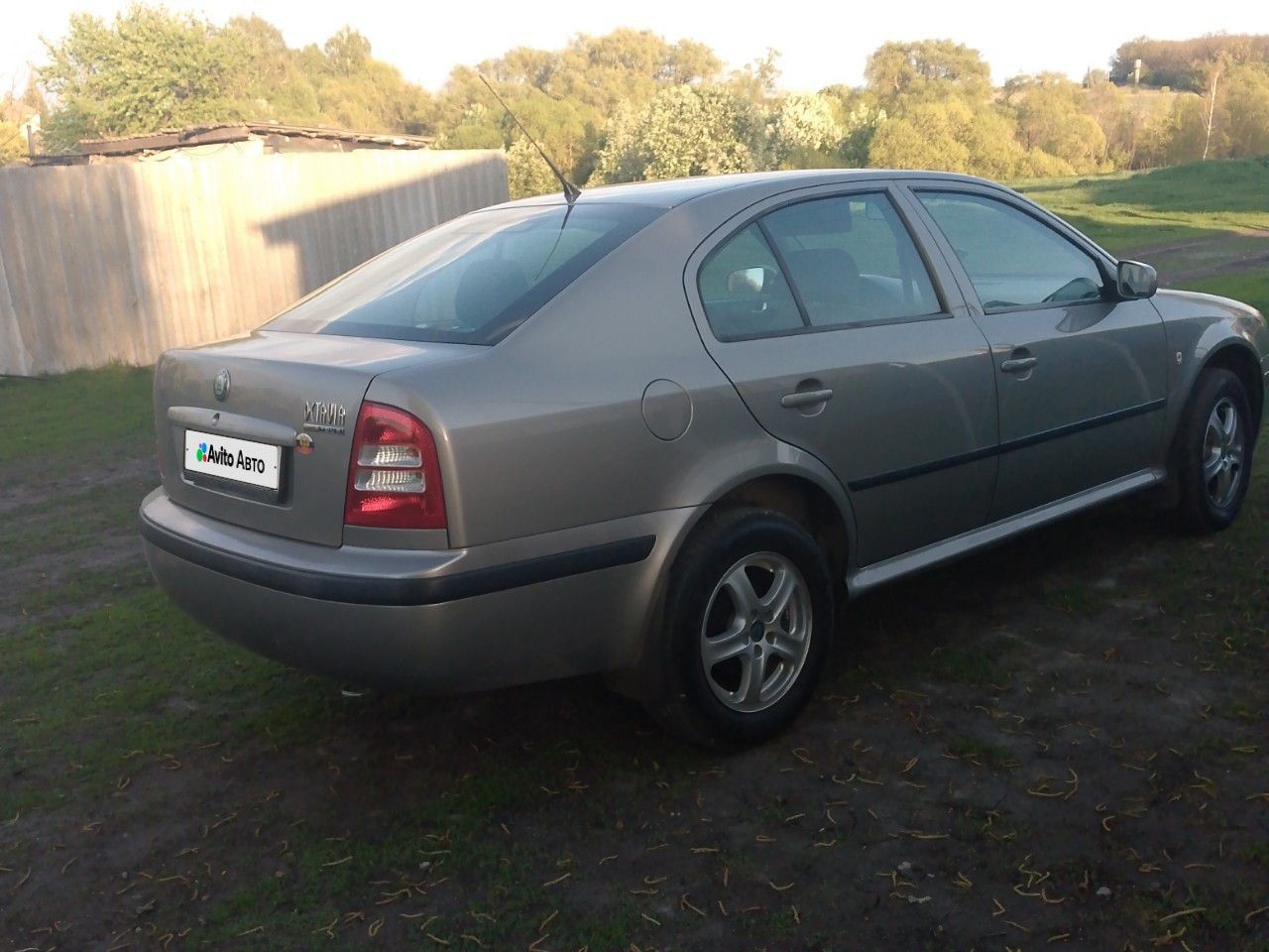 Skoda Octavia: фото владельца