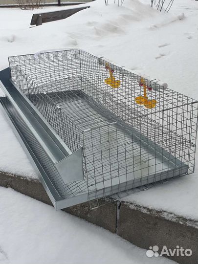 Клетки для перепелов. Новые