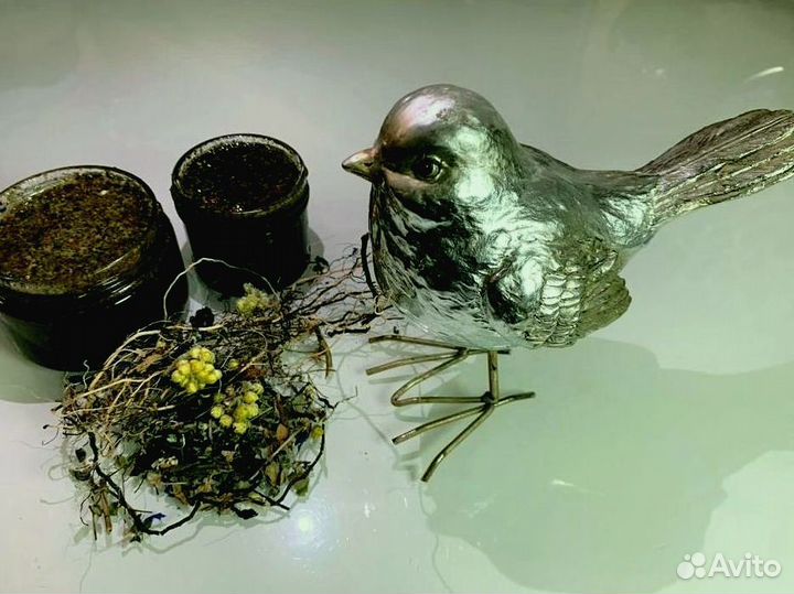 Мед для мужского либидо