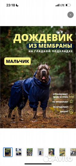 Комбинезон-дождевик для собаки