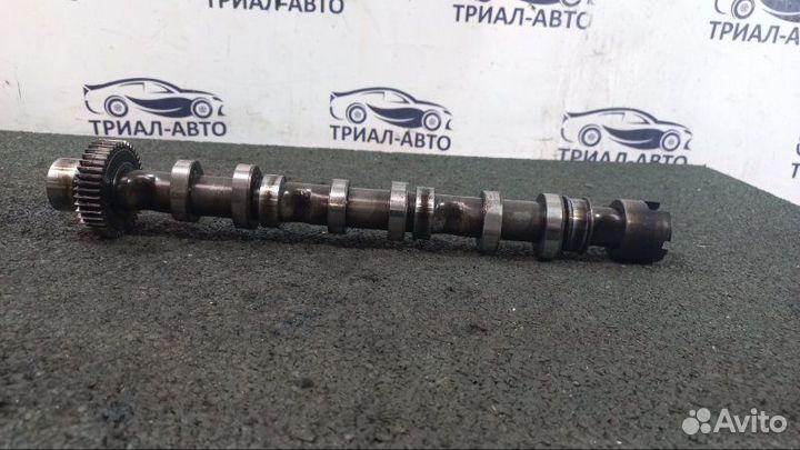 Распредвал BUG Audi Q7, Ауди Ку7