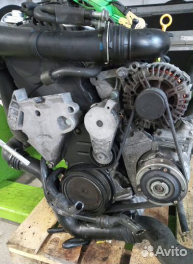 Skoda Octavia II 1.9 TDI 105 л.с.VW бкс бхе бхф