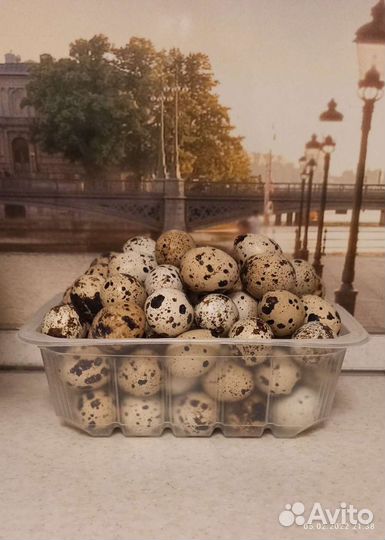 Яйца перепелиные домашние