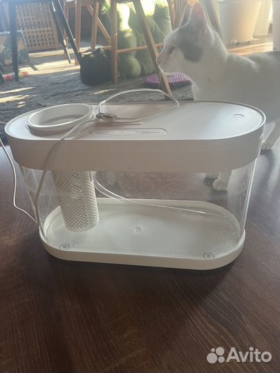 Аквариум с фильтром и светом