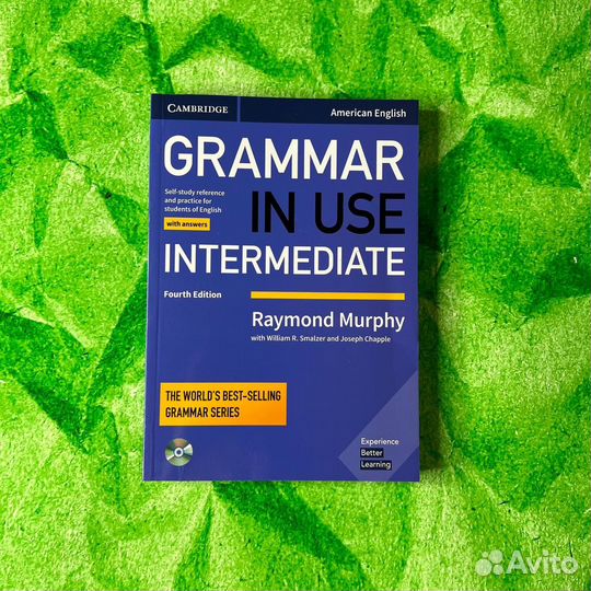 Grammar in Use Intermediate 4th Raymond Murphy