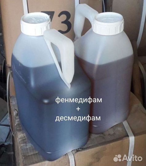 Десмедифам, фенмедифам. Гербицид