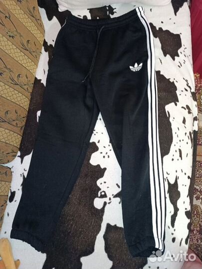 Котсюм зимний, мужской Adidas