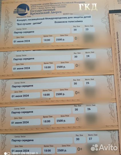 Концерт Кремлевкий дворец 01/06