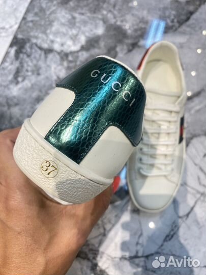 Кеды женские Gucci Ace