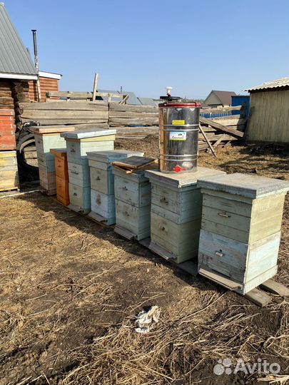 Улей для пчел бу