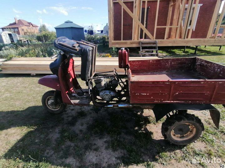 Муравей