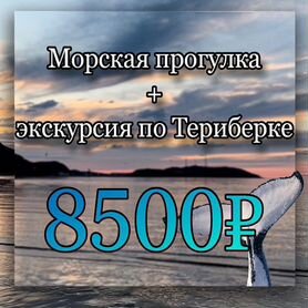 Тур в Териберку. Морская прогулка, Териберка киты