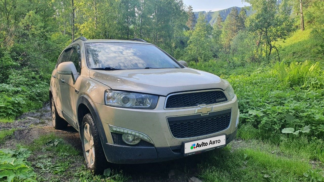 Chevrolet Captiva: фото владельца