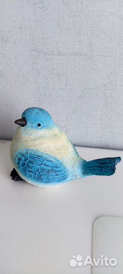 Декоративная птица