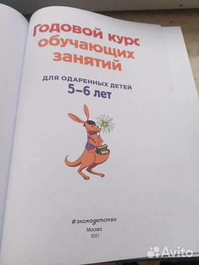 Годовой курс обучающих занятий для одаренных детей