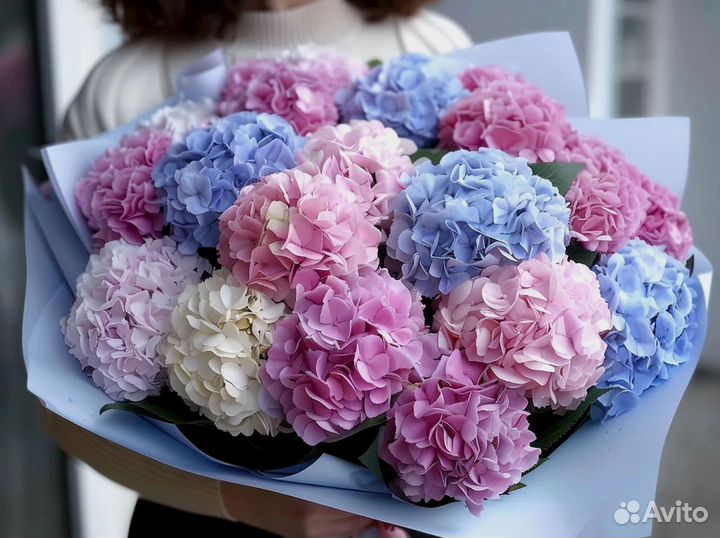 Гортензии с доставкой