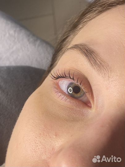 Мастер бровист