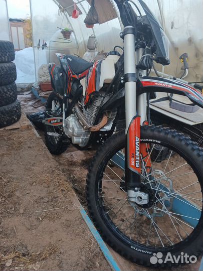 Avantis 250 fx lux
