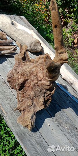Дрифтвуд,коряги дубовые