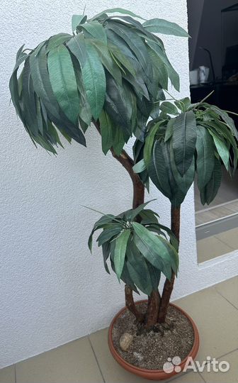 Искусственная пальма