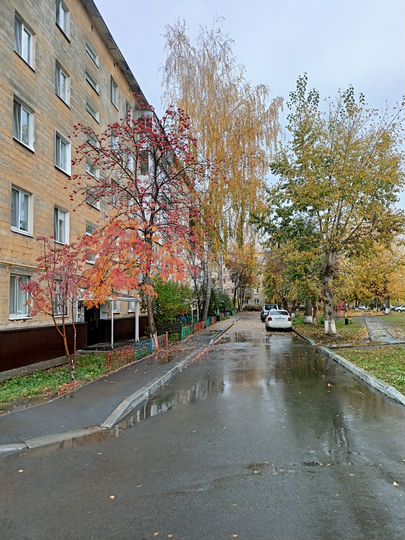 4-к. квартира, 63,5 м², 1/5 эт.