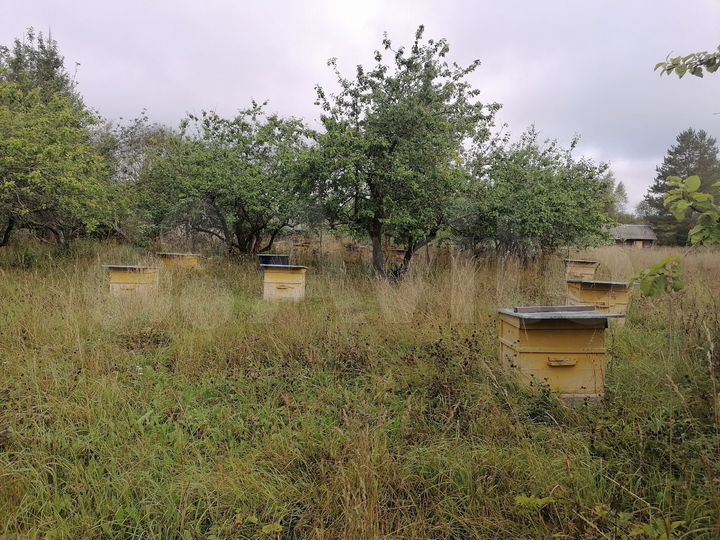 Участок 77 сот. (ИЖС)