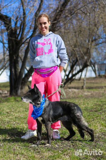 Красотка Наоми ищет дом