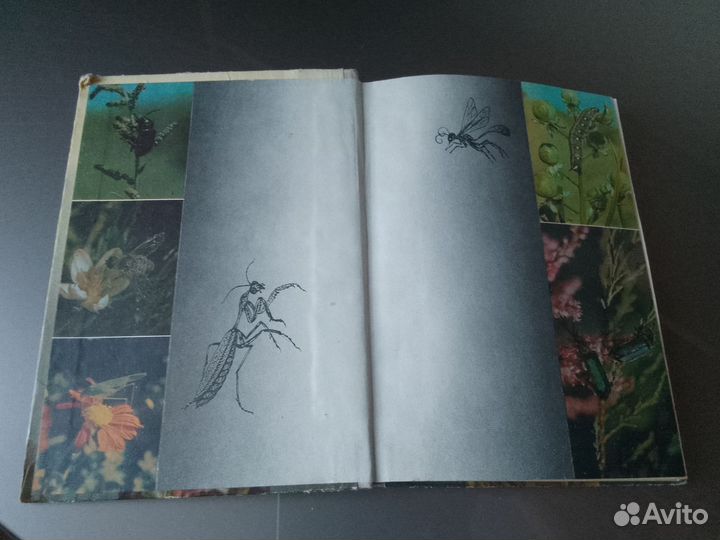 Юному энтомологу П.Мариковский