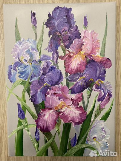 Картина маслом. Ирисы