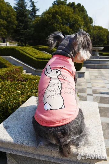 Одежда для собак и кошек новая, майка для собаки