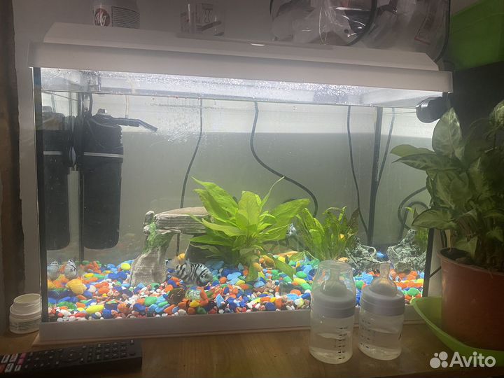 Аквариум обмен