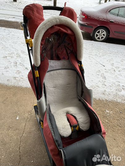 Сани-коляска